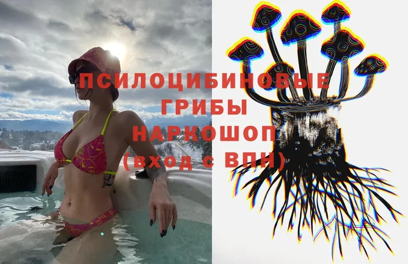 купить наркоту  Иннополис  Псилоцибиновые грибы Psilocybe 